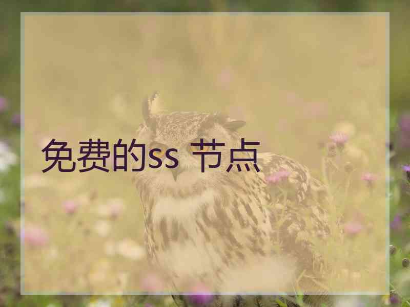 免费的ss 节点