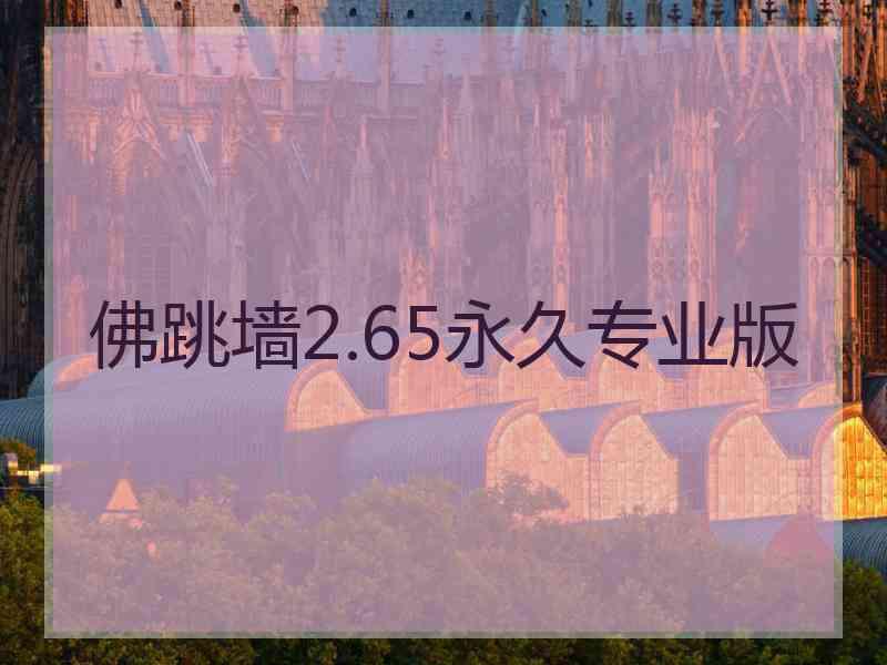 佛跳墙2.65永久专业版