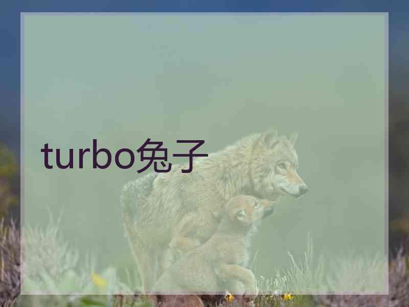 turbo兔子